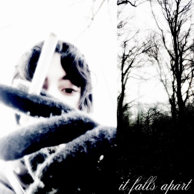 it falls apart (feat. Rit & Pearlblade) - Single
