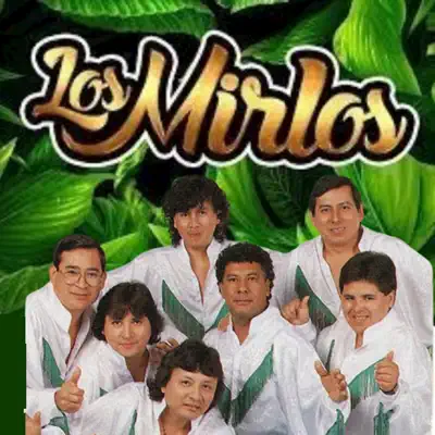 Listen to Internacionales by Los Mirlos