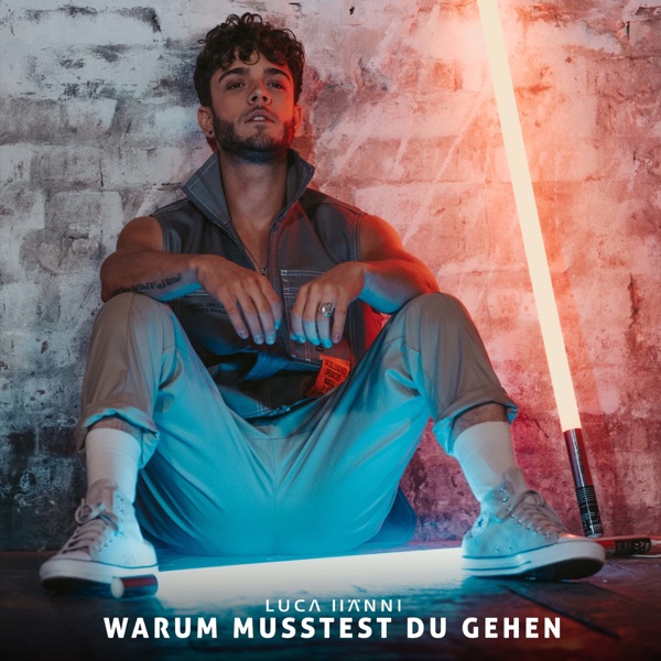Warum musstest du gehen - Single