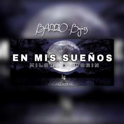 EN MI SUEÑOS (feat. Milor & Morin) - Single