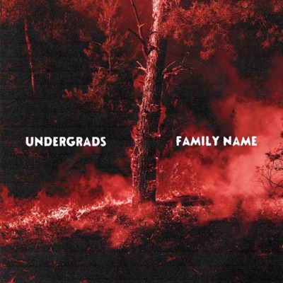 Family Name (feat. Bravelake) - Single