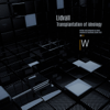 Transplantation of Ideology - EP - Lidvall