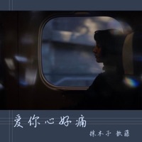 爱你心好痛 - Single - 徐木子 & 歆藤