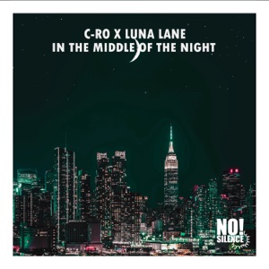 In the Middle of the Night