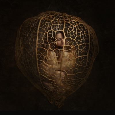 La Casa Entera - Single
