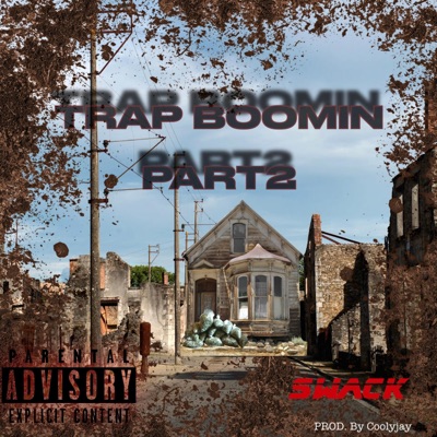 Trap Boomin Pt. 2 - Single