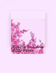 Little Pandaを聴いたり、ミュージックビデオを鑑賞したり、経歴やツアー日程などを確認したりしましょう！