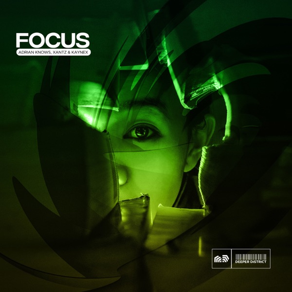 Focus - Single