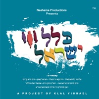 Klal Yisrael (feat. Yoel Binyamin Weiss) - MRM All Stars