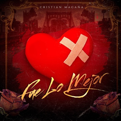 Fue Lo Mejor - Single