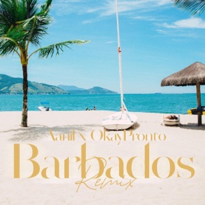 Barbados (feat. Okay Pronto) [Trinidad Remix]