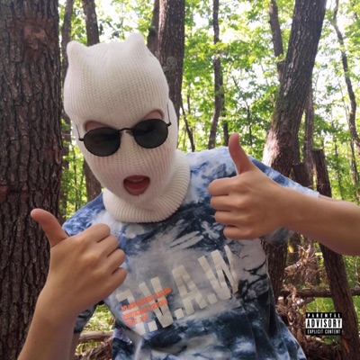 9 lei (feat. Pildu Marinaru & XAN.) - Single