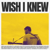 Wish I Knew artwork