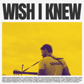 Wish I Knew song art