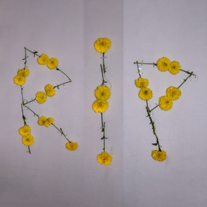 Everything You Do - Single