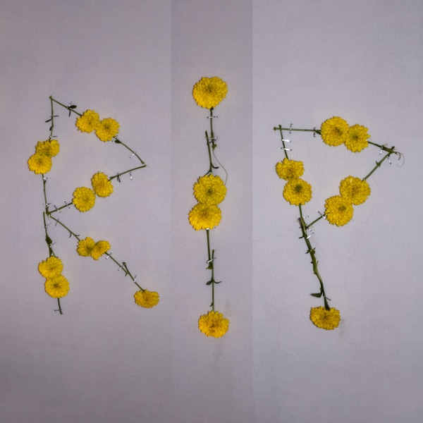 Everything You Do - Single