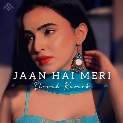 Mahabubur Rahman - Jaan Hai Meri (Slowed & Reverb)