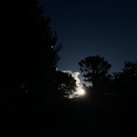 No Me Pidas - Single - Gllato