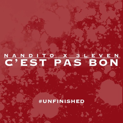 C'EST PAS BON (feat. Nandito) - Single
