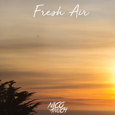 Fresh Air - Single