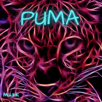 PUMA - Single