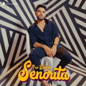 Senorita artwork