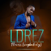 Flowers (Single Lady) - Single - Ldrez