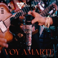 Voy Amarte (En Vivo - Special Version) - Single - Elvis Martínez