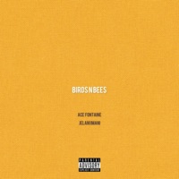 BirdsNBees (feat. Jelani Imani) - Single - Ace Fontaine