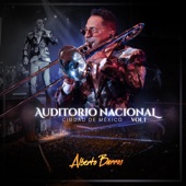 Auditorio Nacional Ciudad de México, Vol. 01 (En Vivo) artwork