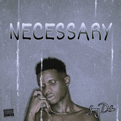 Necessary - Single