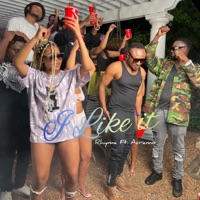 I Like it (feat. Acramo) [DJ Version] - Single - Rhyma