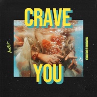 Crave You - Single - Paradigm & Dan Owen