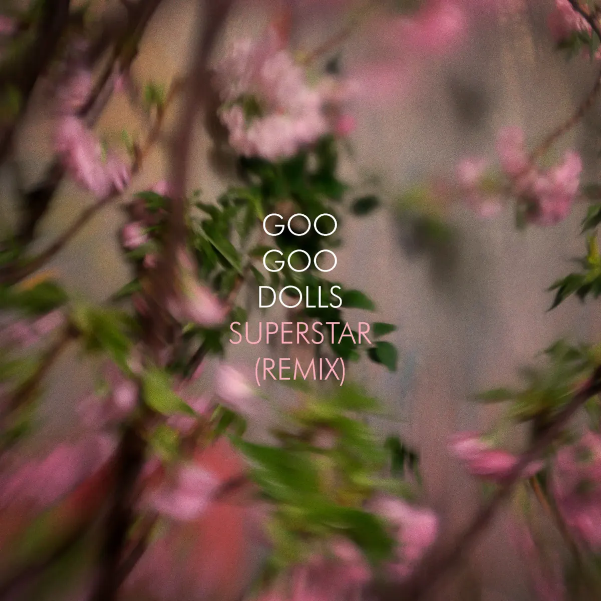 The Goo Goo Dolls - Superstar (Remix) - Single (2023) [iTunes Plus AAC M4A]-新房子