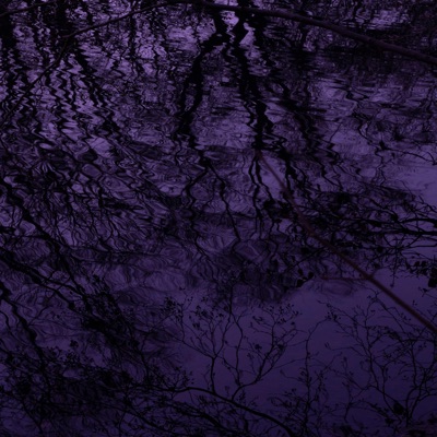 Rain (feat. Harvey Quinnt) - Single