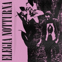 Elegia Notturna - Single - John Faser