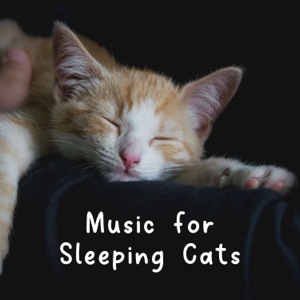 Music for Sleeping Cats