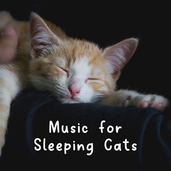 Music for Sleeping Cats