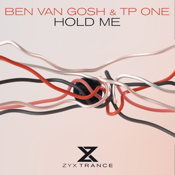 Hold Me - Single