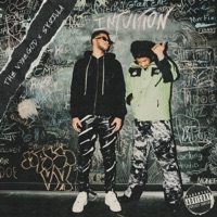 Intuition (feat. SKRILLA) - Single - The VybeGod