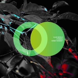 Honey Mommy - Single