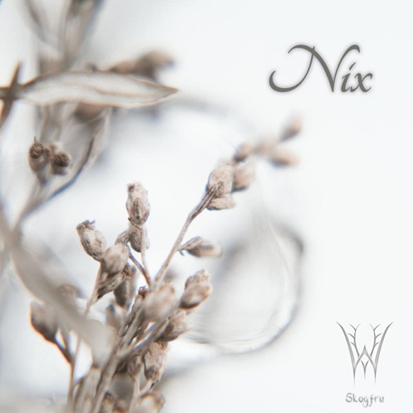 Nix - Single