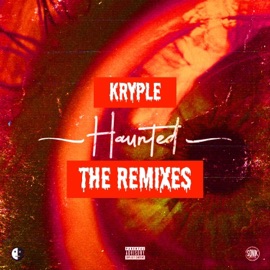Haunted (Mac Millon Remix) Kryple