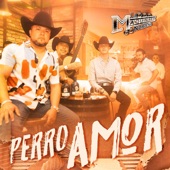 Perro Amor artwork