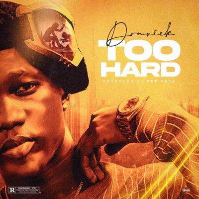 Too Hard - Single