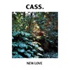 New Love - Single