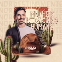 Mulher Pedacinho Humano - Single - Túlio Duarte