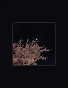 Poslechněte si interpreta Yugen Twin, sledujte hudební videa, přečtěte si životopis, podívejte se na data turné a další informace.