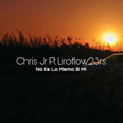 No Es Lo Mísmo Sin Mi (feat. LiroFlow23rs) - Single