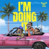 I'm Doing It artwork